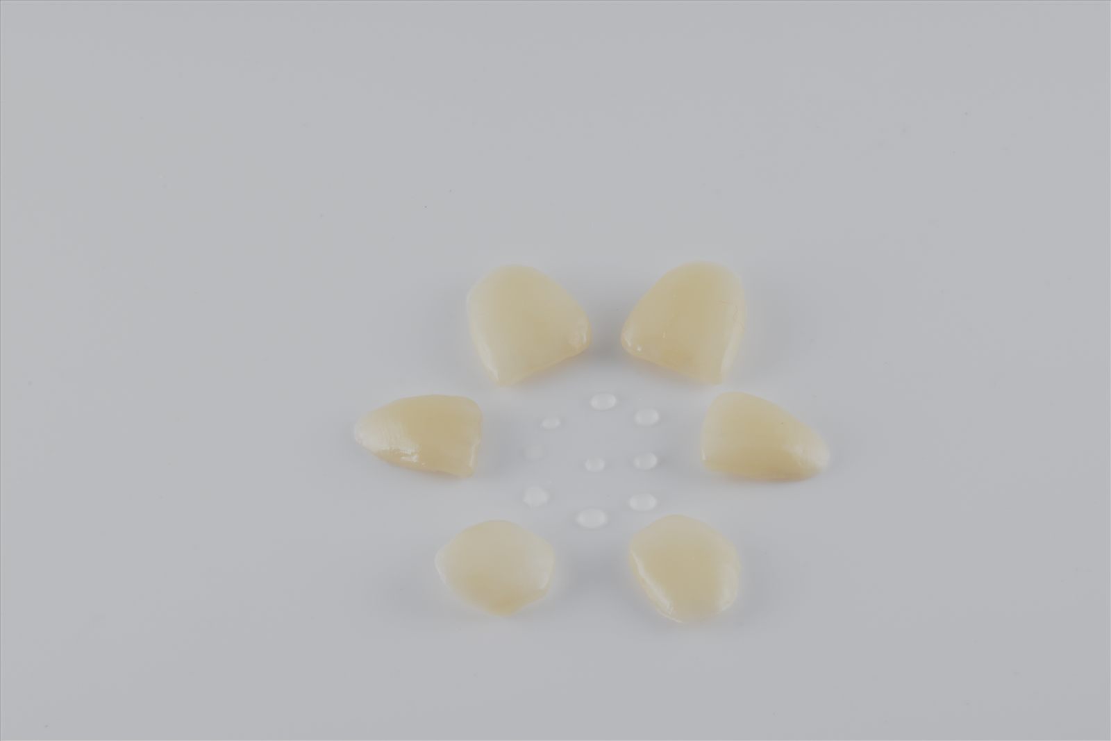 A set of finished porcelain veneers, individually shaped and arranged before placement